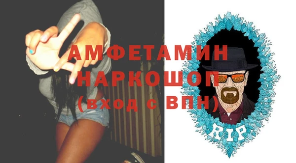 индика Абинск