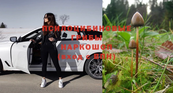 индика Абинск