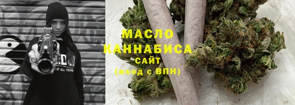 индика Абинск