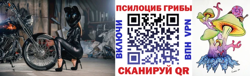 hydra ссылка Тутаев Псилоцибиновые грибы мицелий купить