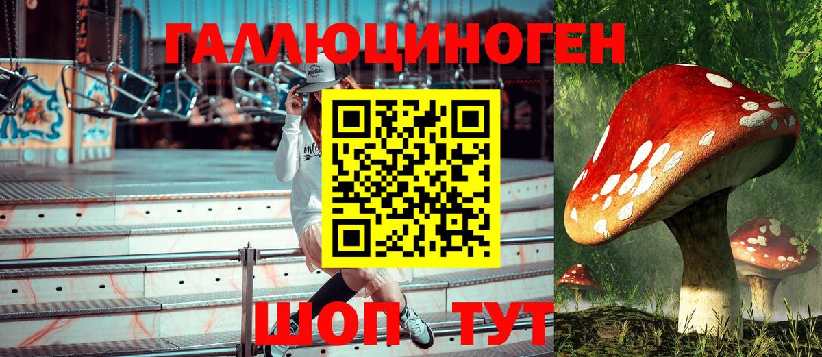 Тутаев  Галлюциногенные грибы мицелий  наркотики  Вход с VPN 